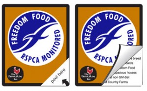 peel-and-read-booklet